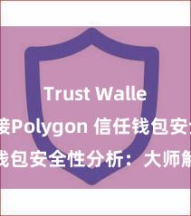 Trust Wallet如何连接Polygon 信任钱包安全性分析：大师解读真相